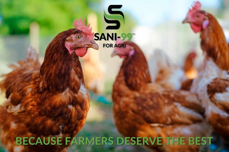 Sani 99 AGRI - a powerful broad-spectrum disinfectant especially for farmers