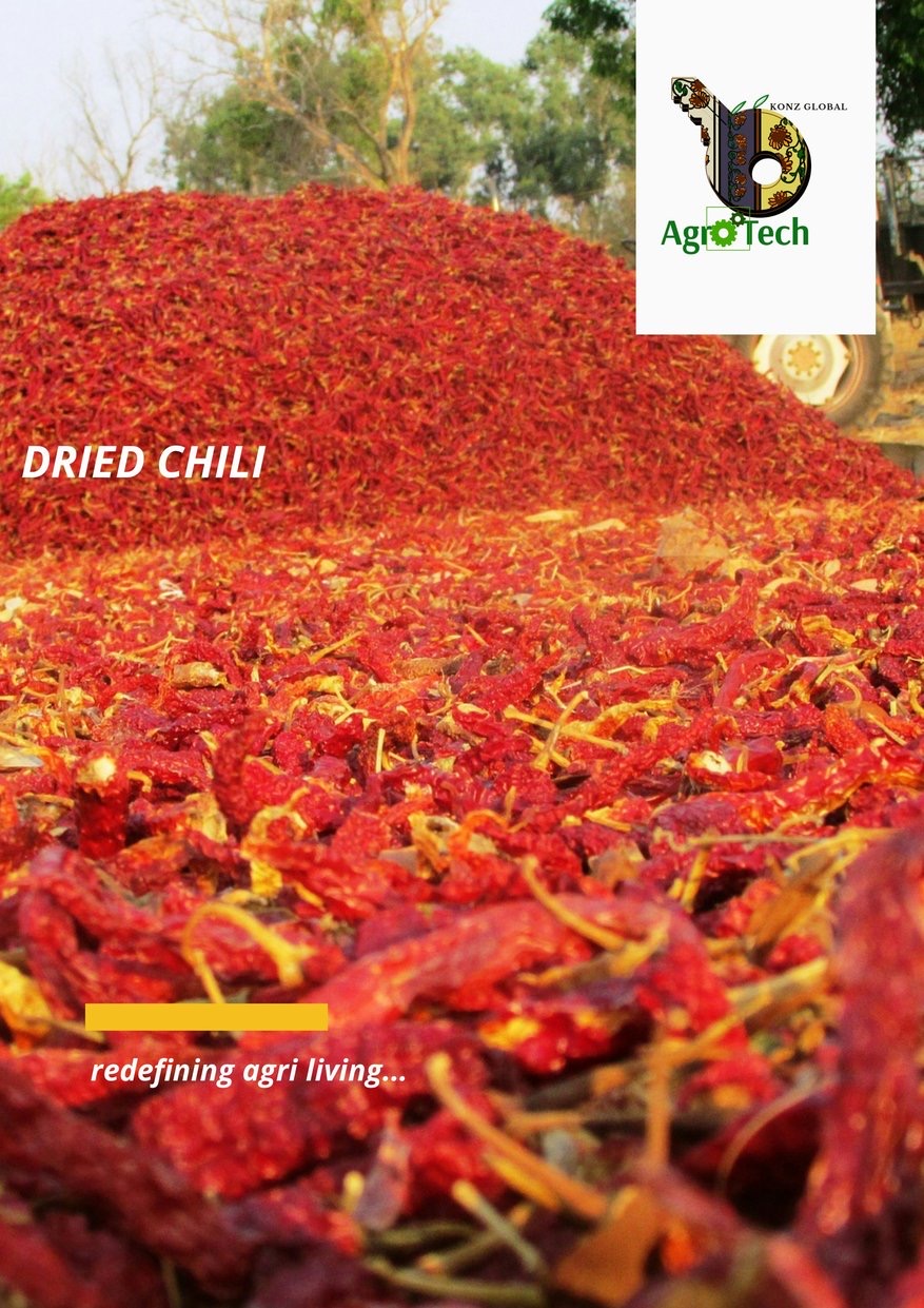 Dried Chili