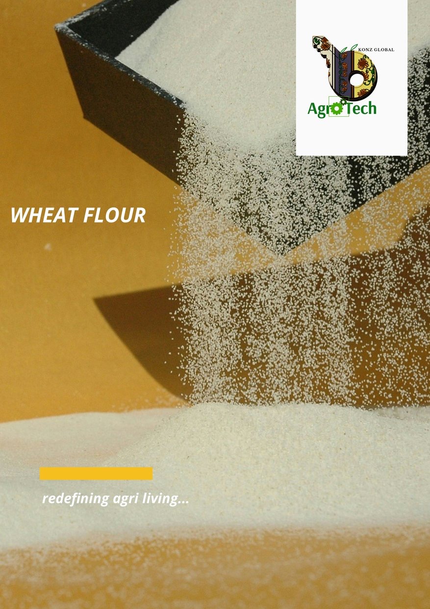 Wheat Flour