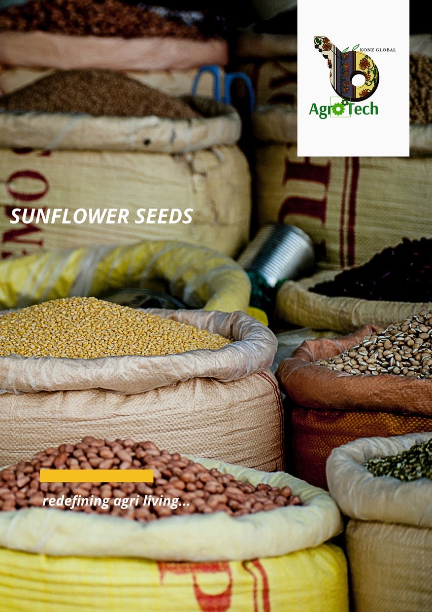 Sunflower seeds