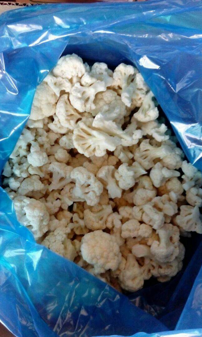 Frozen Caliaflowert