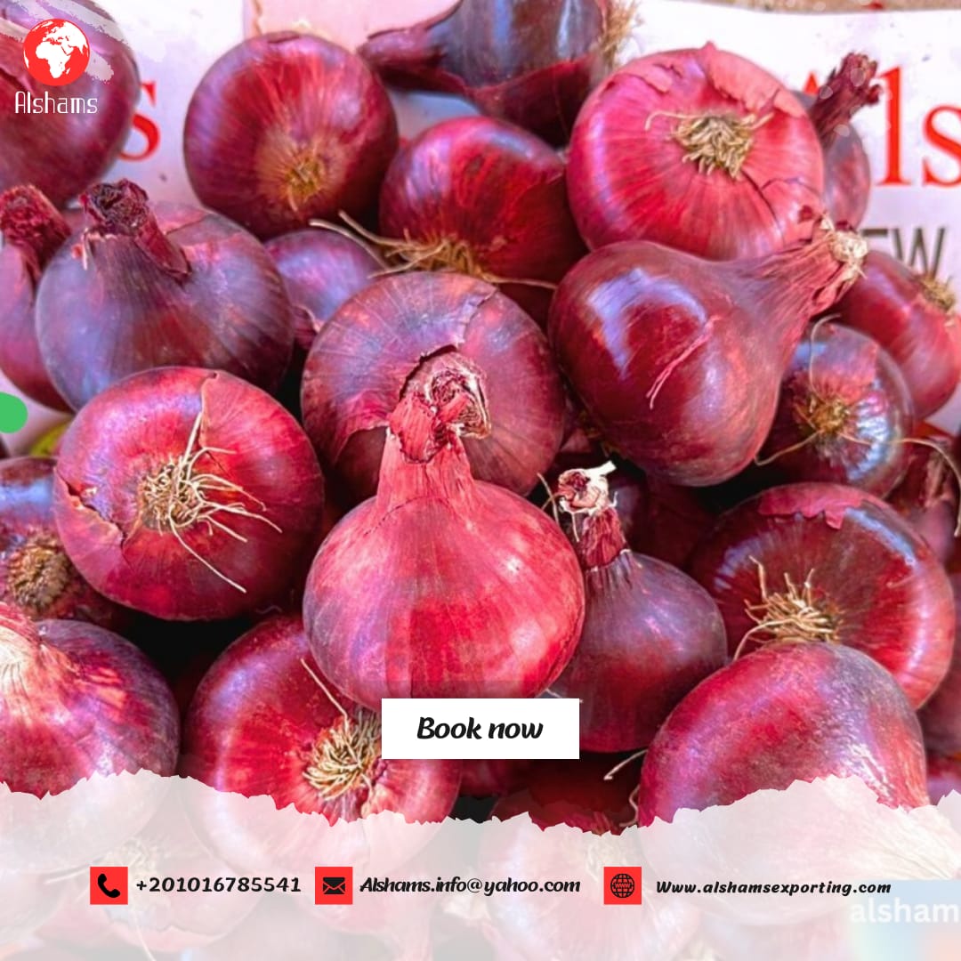 Fresh onion
