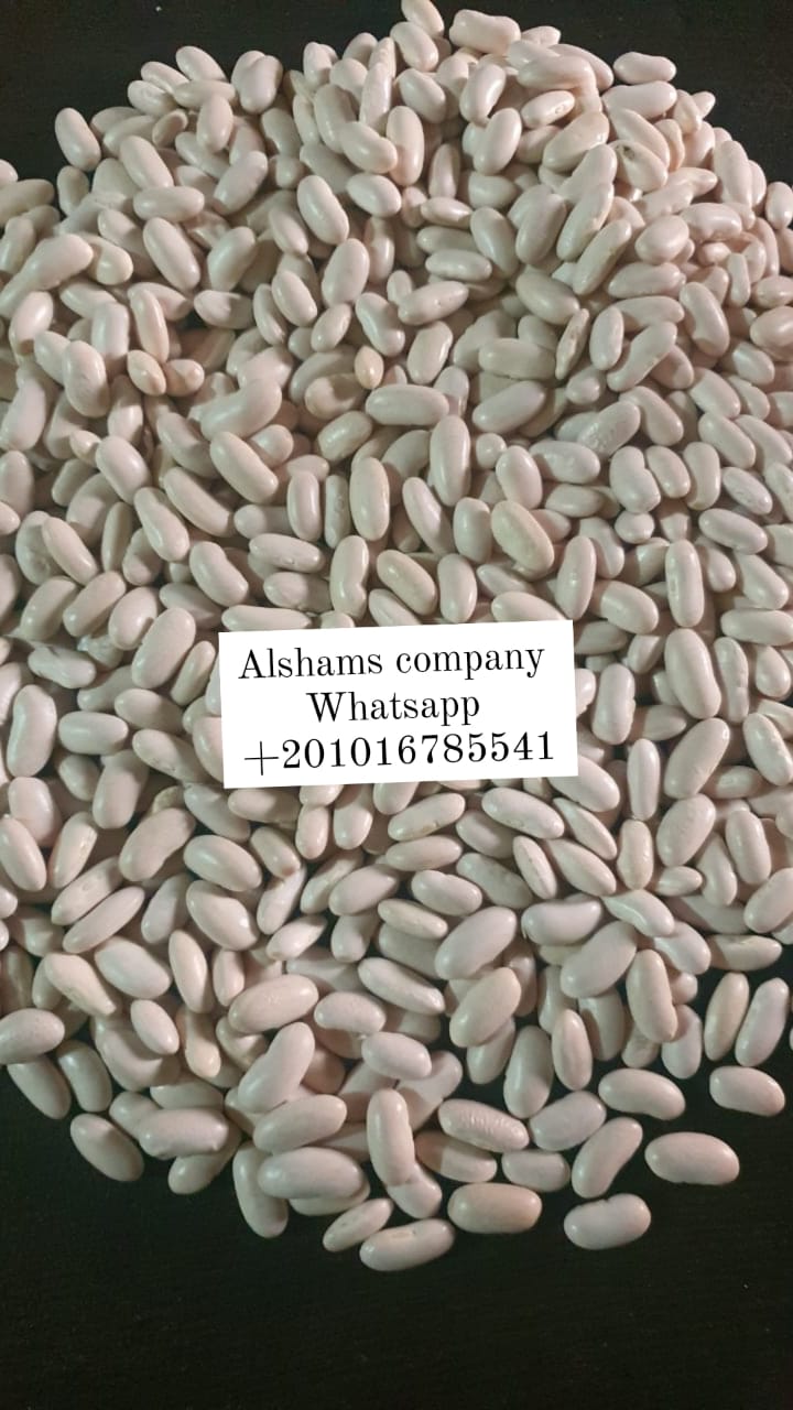 white beans